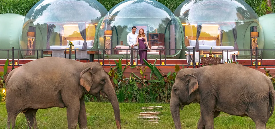 Elephant Dome Retreat at Singita Pamushana