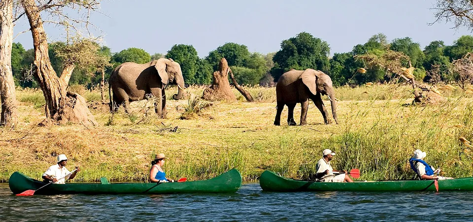 Canoe Safari in Mana Pools National Park