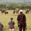 Family on a guided safari in Zimbabwe watching elephants.