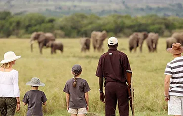 Family on a guided safari in Zimbabwe watching elephants.